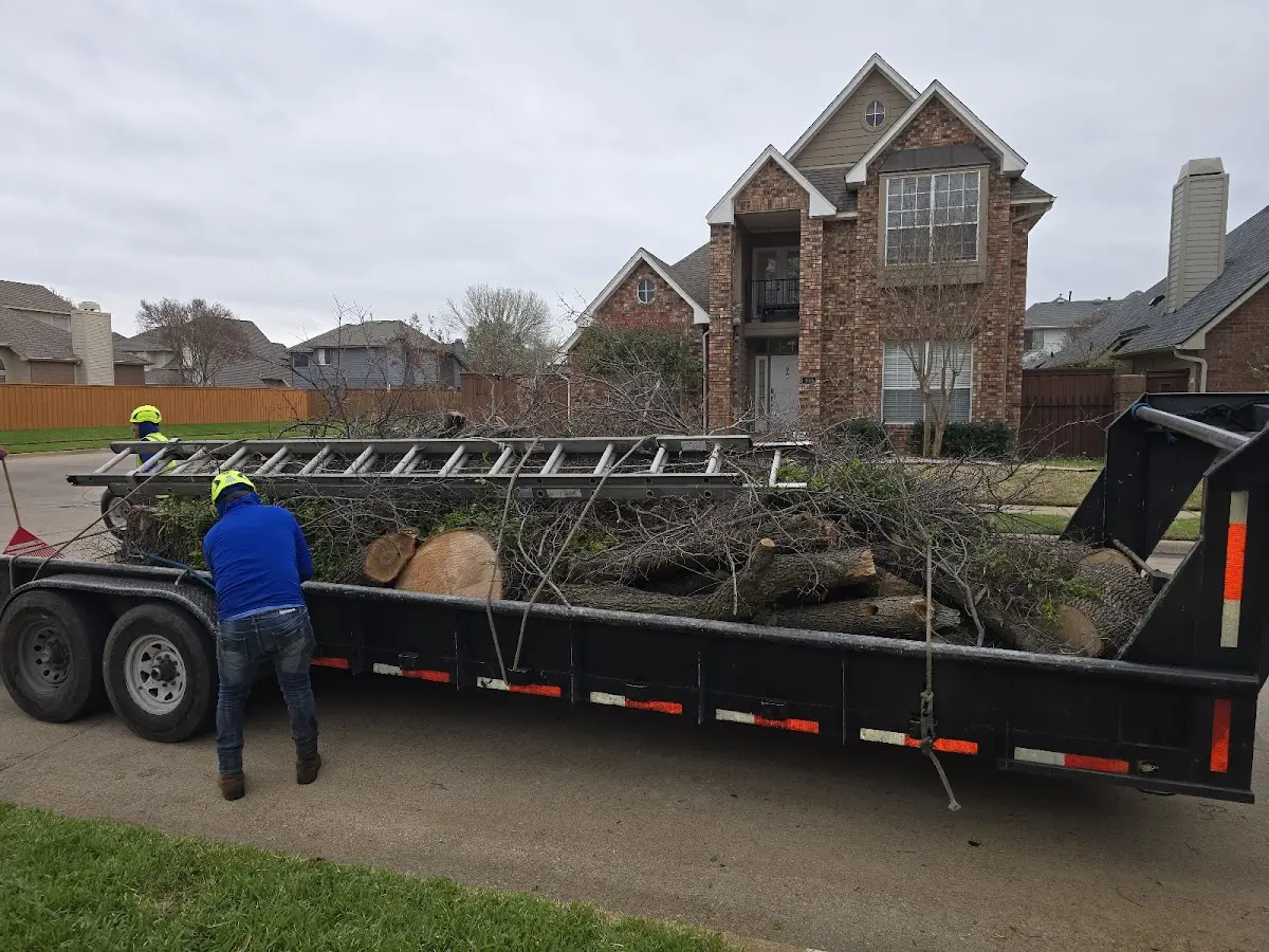 Expert Tree Fertilization with proper safety equipment in Creedmoor